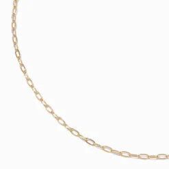 Gold-tone Small Paperclip Chain Necklace